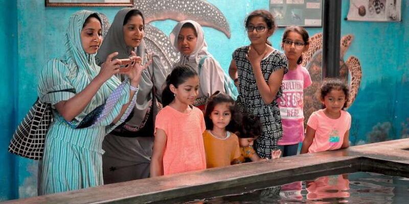 From Colombo: Private Full-Day Bentota Tour - How the Tour Works & Practical Details