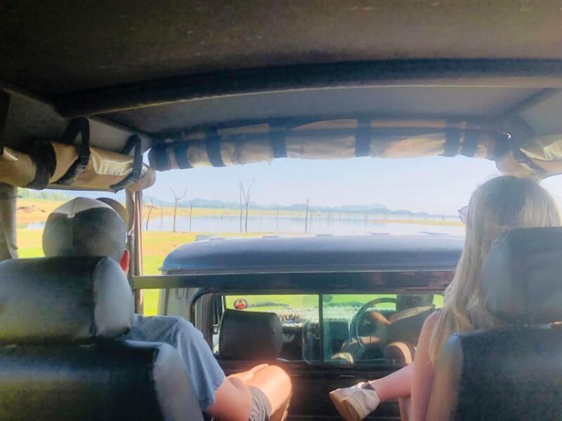 From Colombo: Sigiriya and Dambulla Day Trip - Final Thoughts