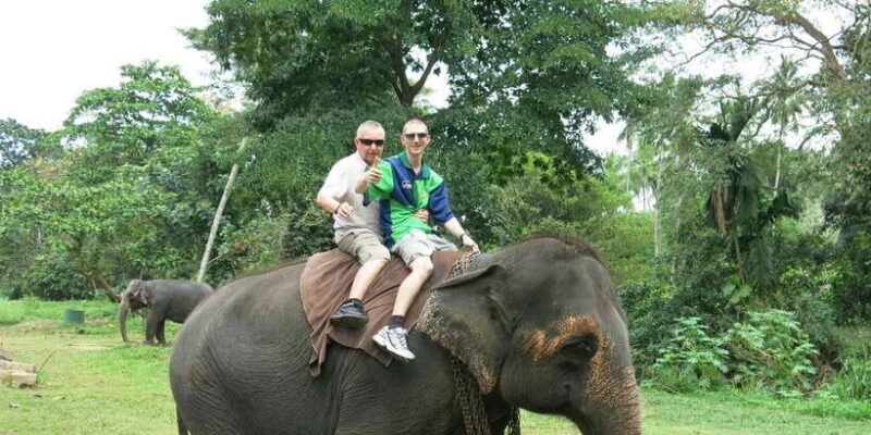 From Colombo: Sigiriya and Dambulla Day Trip with Safari - Who Will Love This Tour?