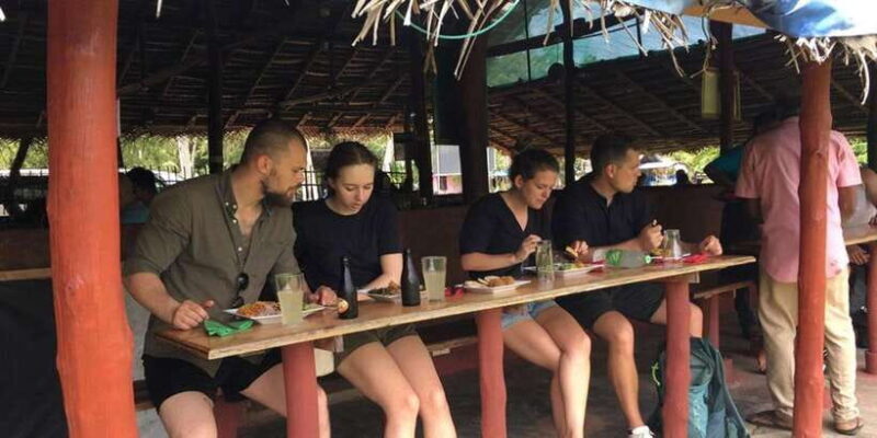 From Colombo: Sigiriya Dambulla & Minneriya park Day Trips - Final Thoughts: Is This Tour for You?