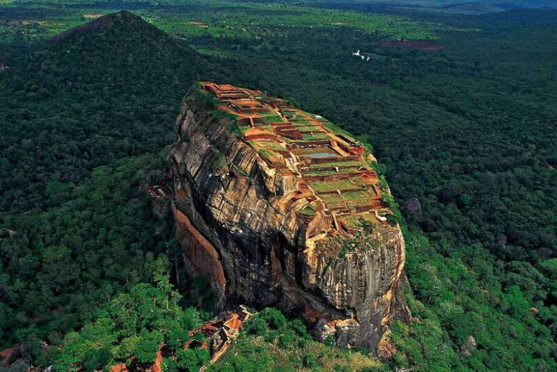 From Colombo: Sigiriya / Dambulla & Safari Day Tour - Key Points