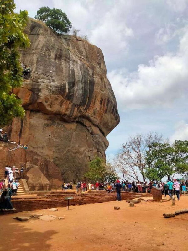 From Colombo: Sigiriya Rock, Dambulla & Minneriya 4x4 Safari - Who Should Consider This Tour?