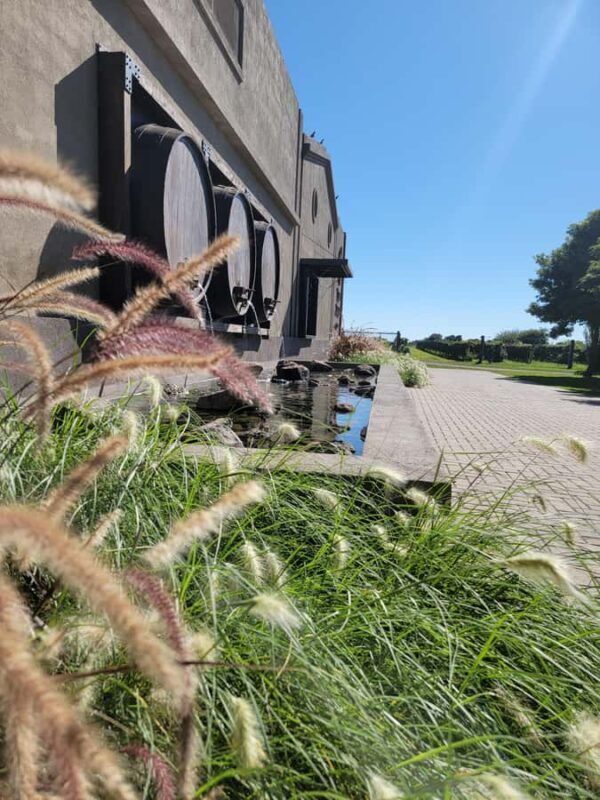 From Cordoba: Private Wine tour & History - Who Should Consider This Tour?