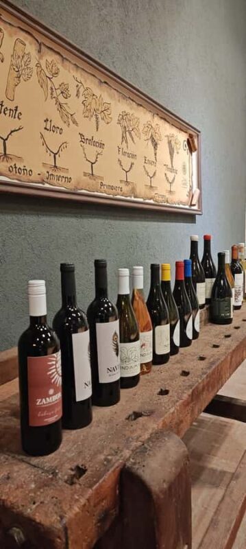 From Córdoba: Wine Tour & Jesuit Legacy - Key Points