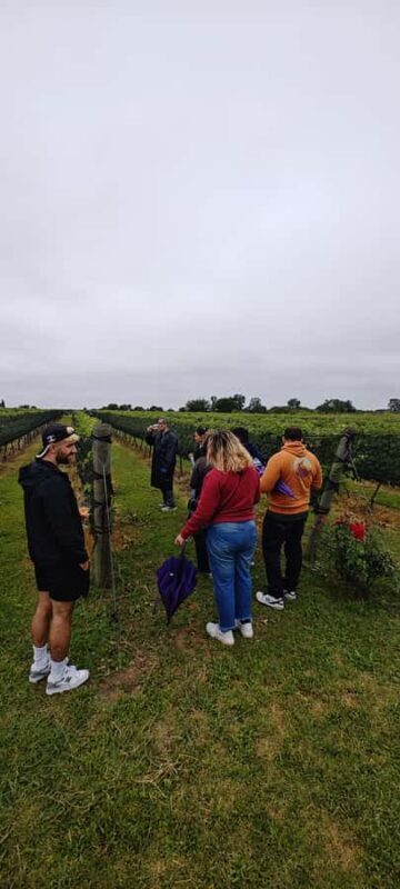 From Córdoba: Wine Tour & Jesuit Legacy - A Truly Rich Experience in Córdoba’s Heartland