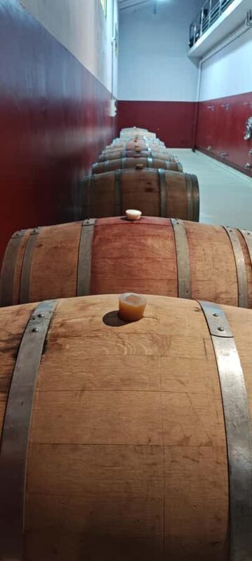 From Córdoba: Wine Tour & Jesuit Legacy - Practical Tips for Travelers