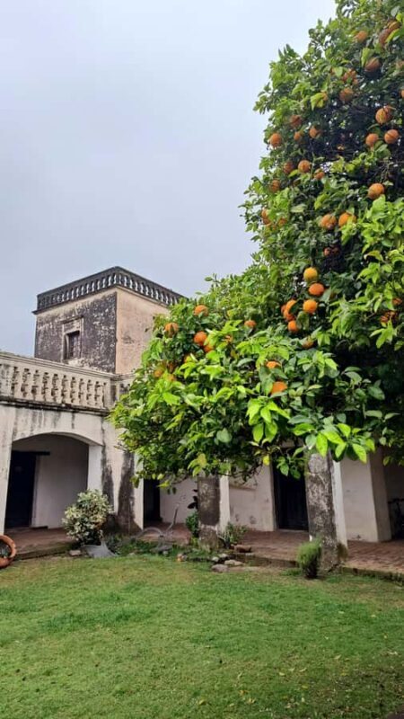 From Córdoba: Wine Tour & Jesuit Legacy - Who Should Consider This Tour?