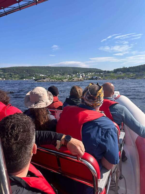 From Corner Brook : Bay Of Islands Island Zodiac Boat Tour - An Adventure on the Water in Corner Brook