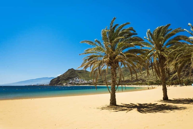 From Costa Adeje or Santa Cruz: Contrasts of Tenerife Tour - Exploring Tenerife in a Day: A Deep Dive