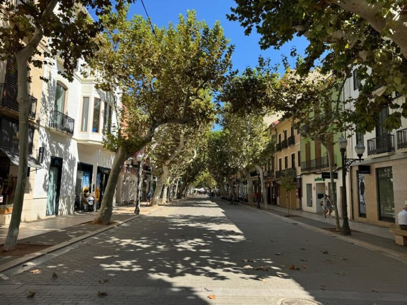 From Costa Blanca: Denia and Mediterranean Gardens Day Trip - Key Points
