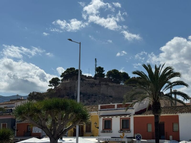 From Costa Blanca: Denia and Mediterranean Gardens Day Trip - Discovering Denia: A Historic Seaside Town