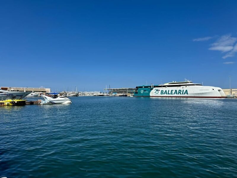 From Costa Blanca: Denia and Mediterranean Gardens Day Trip - Practicalities and Logistics