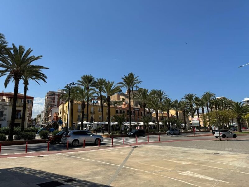From Costa Blanca: Denia and Mediterranean Gardens Day Trip - Final Words