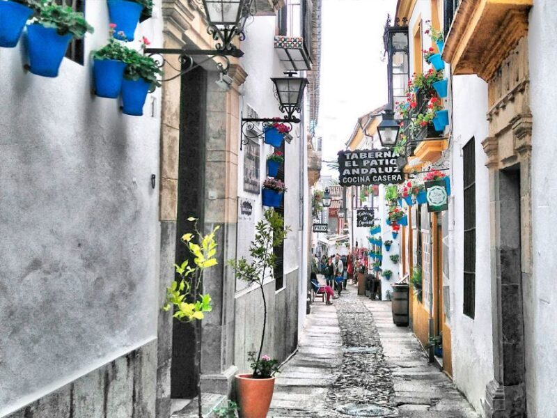 From Costa del Sol: Day Trip to Cordoba Free Time - Exploring Córdoba on a Day Trip from Costa del Sol: An Honest Review