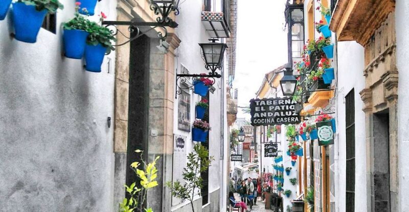 From Costa del Sol: Day Trip to Cordoba Free Time - The Sum Up: Who Is This Tour For?