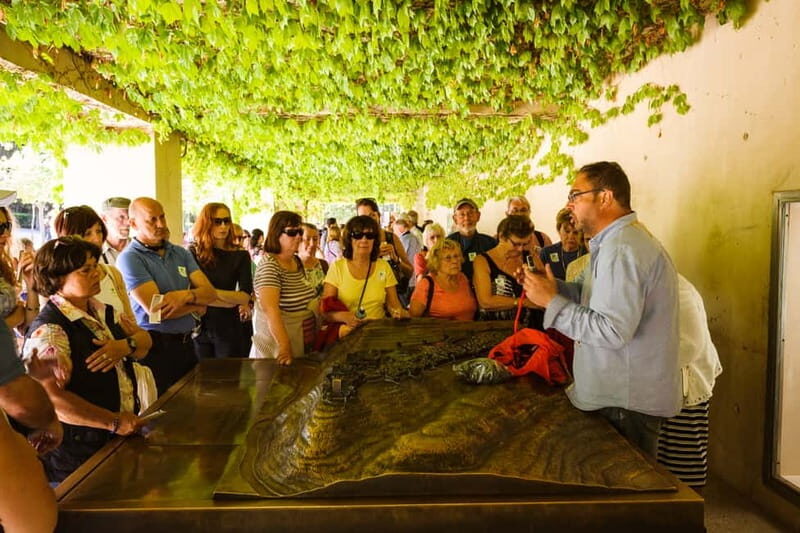 From Costa del Sol: Granada Full-Day Tour - Exploring the Full-Day Tour: A Practical Breakdown