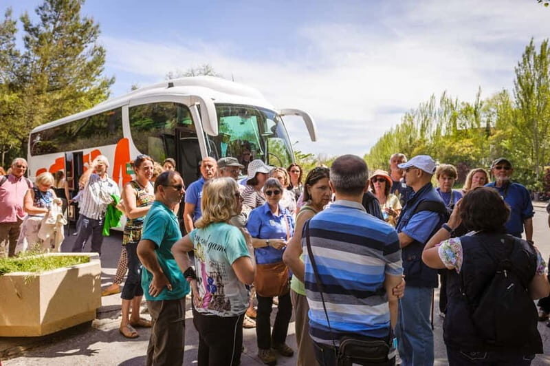 From Costa del Sol: Granada Full-Day Tour - Who Is This Tour Best For?