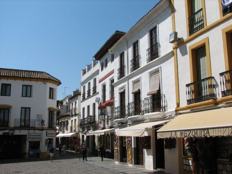 From Costa del Sol & Malaga: Cordoba Guided Day Tour - What We Think: Who Should Consider This Tour?