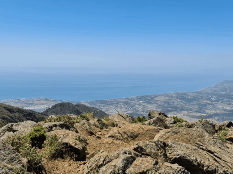 From Costa del Sol: Sierra Bermeja Private Hiking Tour - FAQs