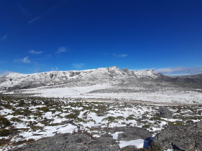 From Covilhã: Serra da Estrela Guided Tour with Lunch - Key Points