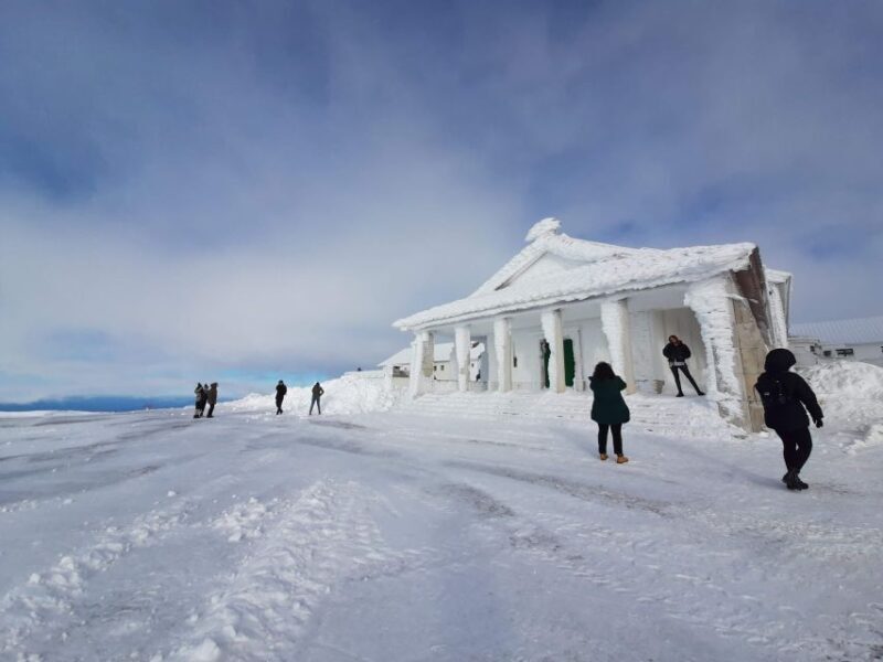 From Covilhã: Tour Serra da Estrela e Covão d'metade - Key Points