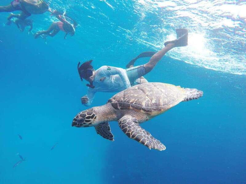 From Cozumel: 3 Reefs Boat Tour with Drinks and Snorkeling - Why This Tour Works Well
