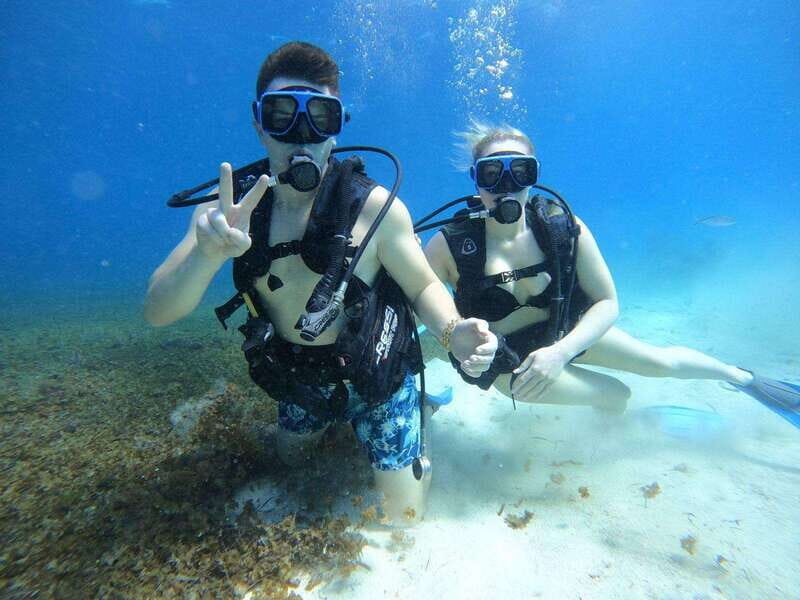 From Cozumel: Chankanaab Cozumel Scuba Diving - The Reef and Underwater Sculptures: Highlights of the Tour