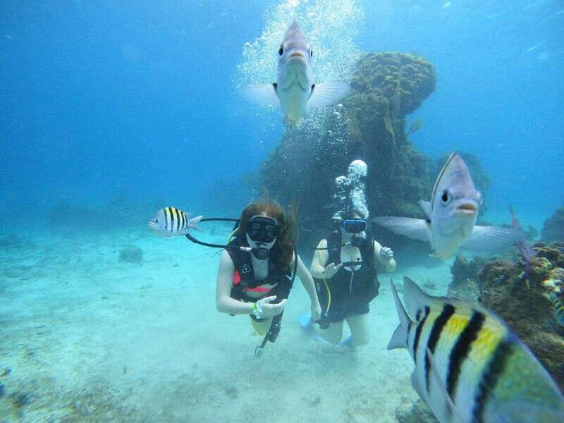 From Cozumel: Chankanaab Cozumel Scuba Diving - Authentic Experiences and Genuine Reviews