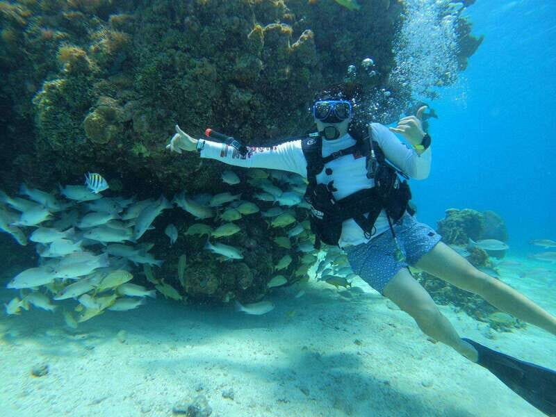 From Cozumel: Chankanaab Cozumel Scuba Diving - The Sum Up: A Worthwhile Introduction to Cozumel’s Marine Life