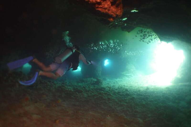 From Cozumel: Chankanaab Cozumel Scuba Diving - Frequently Asked Questions