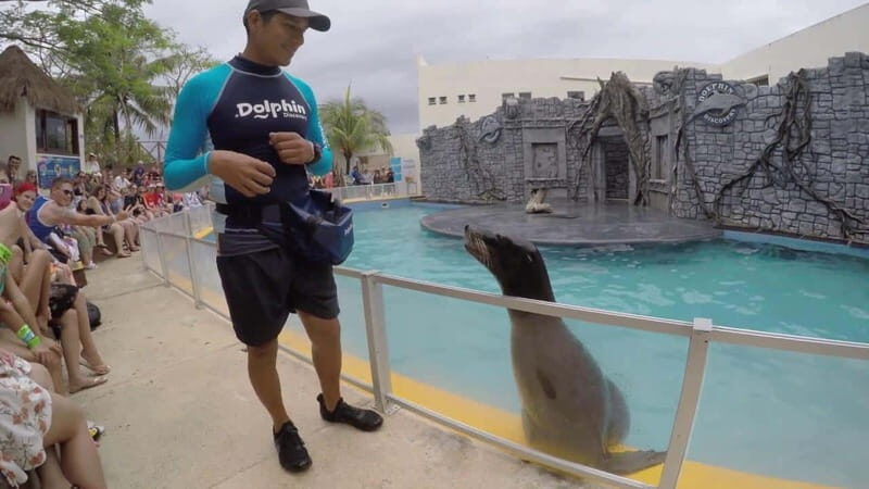 From Cozumel: Chankanaab Park Day pass with Open Bar & Lunch - Dining and Refreshments