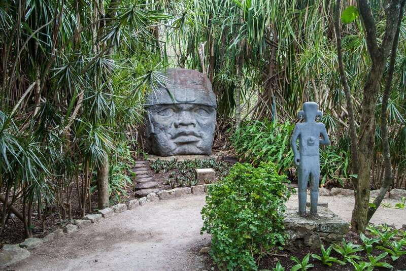 From Cozumel: Chankanaab Park Day pass with Open Bar & Lunch - Who Is This Tour Best For?