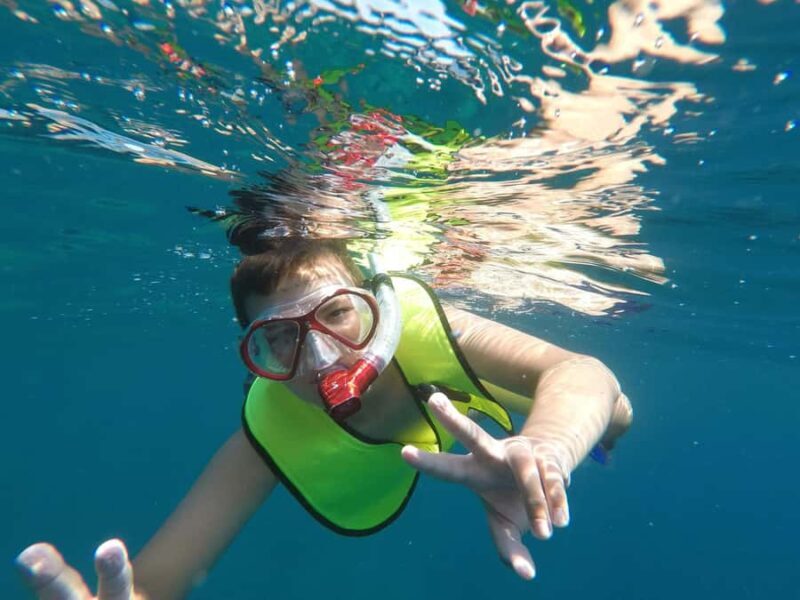 From Cozumel: El Cielo reef by Catamaran Snorkel Adventure - Practical Details and What to Expect