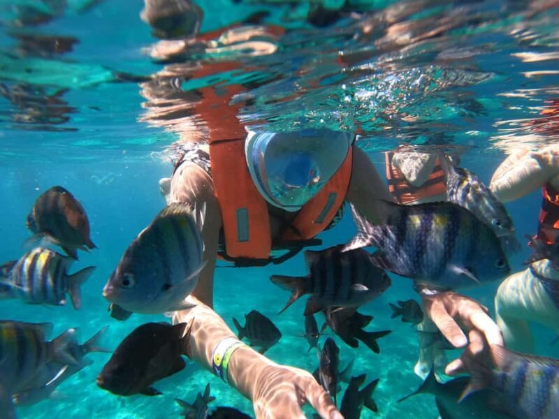 From Cozumel: Invisible Boat tour with Snorkeling - In-Depth Review: Exploring Cozumel’s Underwater World on a Transparent Boat