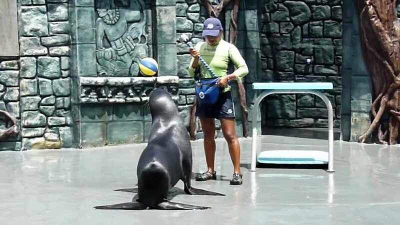 From Cozumel: Official Chankanaab Park Day Pass and Snorkel - Exploring Cozumel’s Most Popular Natural Attraction