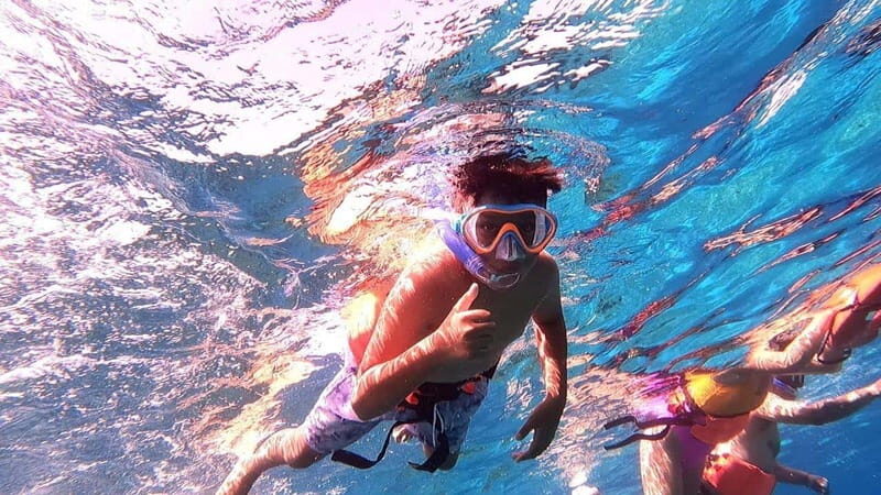 From Cozumel: Official Chankanaab Park Day Pass and Snorkel - What to Expect During Your Visit