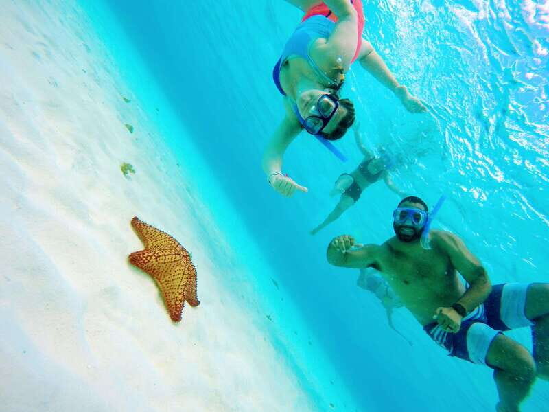 From Cozumel: Starfish, Stingrays and the Turtle Sanctuary - The Real Value of This Tour