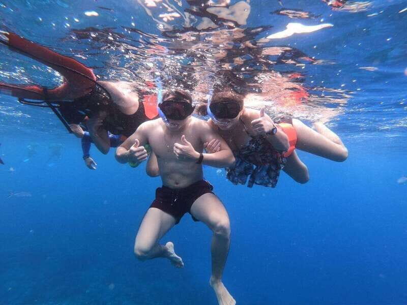 From Cozumel: Starfish, Stingrays and the Turtle Sanctuary - The Experience: A Day in the Water