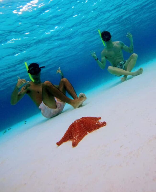 From Cozumel: Starfish, Stingrays & El Cielo Beach Snorkel - The Sum Up