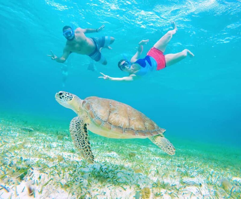 From Cozumel: Starfish, Stingrays & El Cielo Beach Snorkel - FAQs