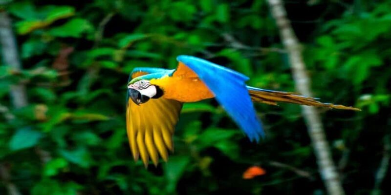 From Cusco: 4 Day Puerto Maldonado Sandoval Lake Excursion - Exploring the 4-Day Itinerary: What You Can Expect