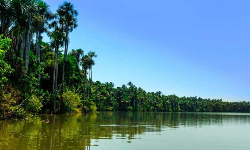 From Cusco: 4 Day Puerto Maldonado Sandoval Lake Excursion - FAQ