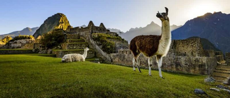 From Cusco: 4Days Machupicchu | Titicaca lake | Cusco - Who Will Love This Tour?