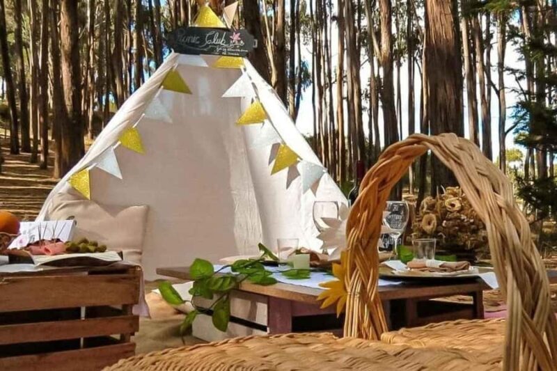 From Cusco: Archaeological sites + Picnic + Painting - Key Points