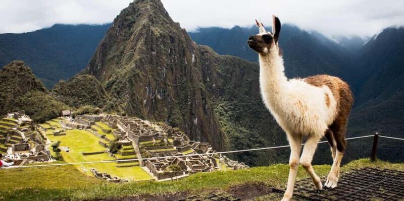 From Cusco: City tour Cusco and Machu Picchu 3-Day Tour - Who Will Love This Tour?