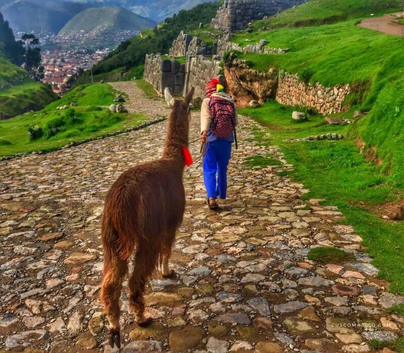 From Cusco: City tour : Private service - A detailed look at Cusco’s highlights