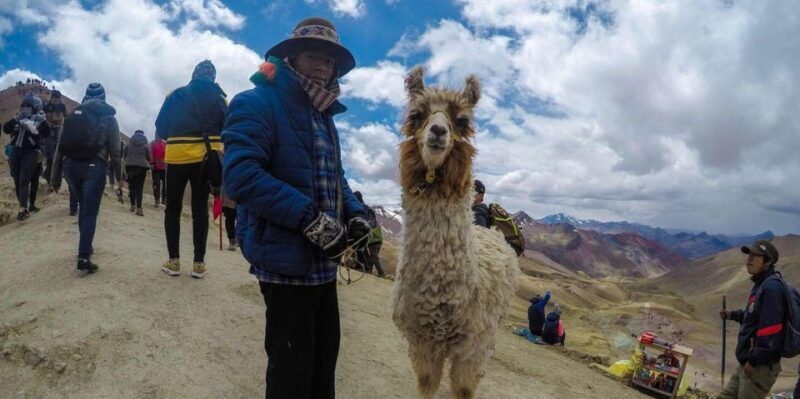 From Cusco: Colored Mountain and Red Valley Day Trip + Meals - The Itinerary in Detail: What This Tour Delivers
