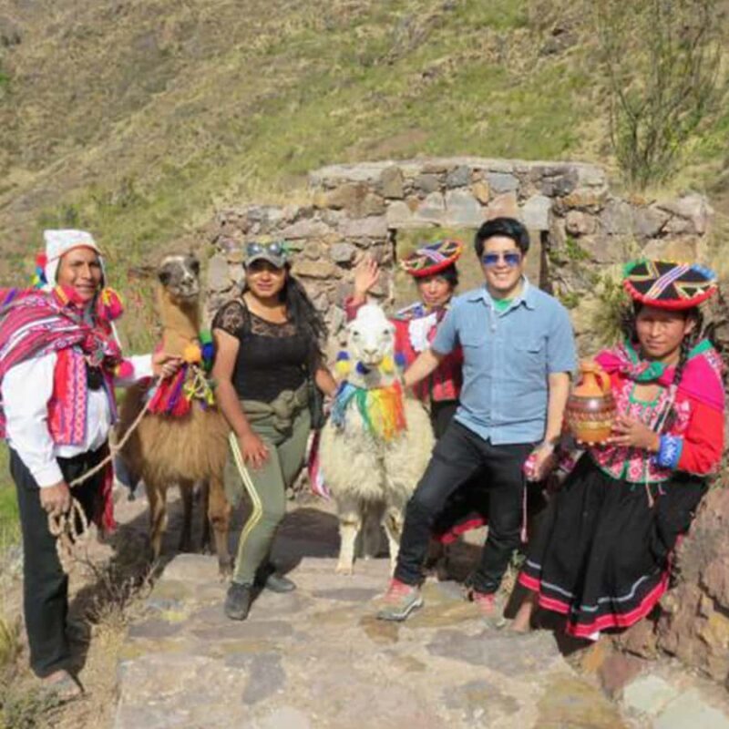 From Cusco: Connection with Nature - Alpaca Therapy - Key Points