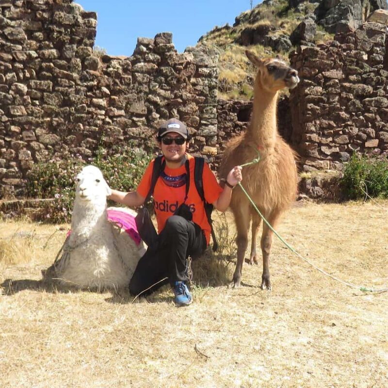 From Cusco: Connection with Nature - Alpaca Therapy - FAQ