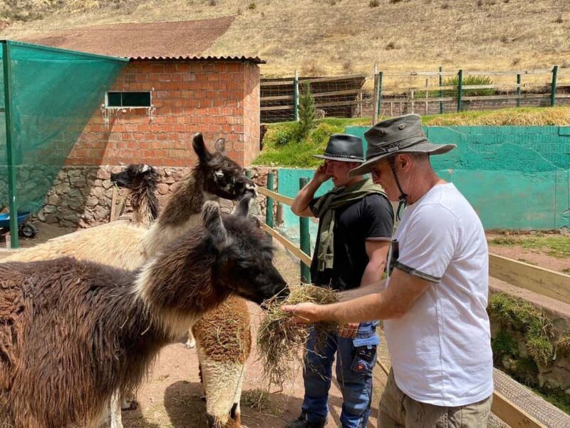 From Cusco: Cusco Machu Picchu Luxury Tour - Why This Tour Stands Out